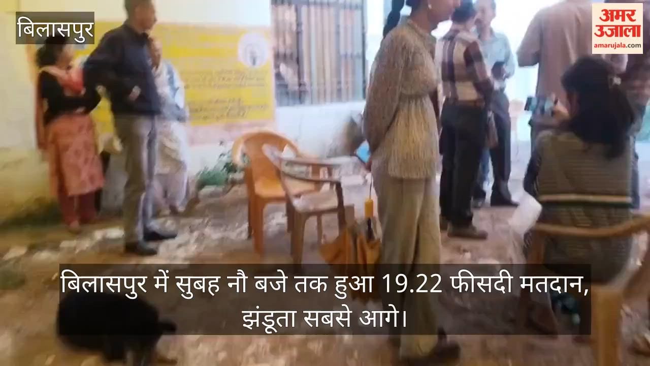 19.22% Voter Turnout Recorded in Bilaspur by 9 AM; Jhanduta Leads