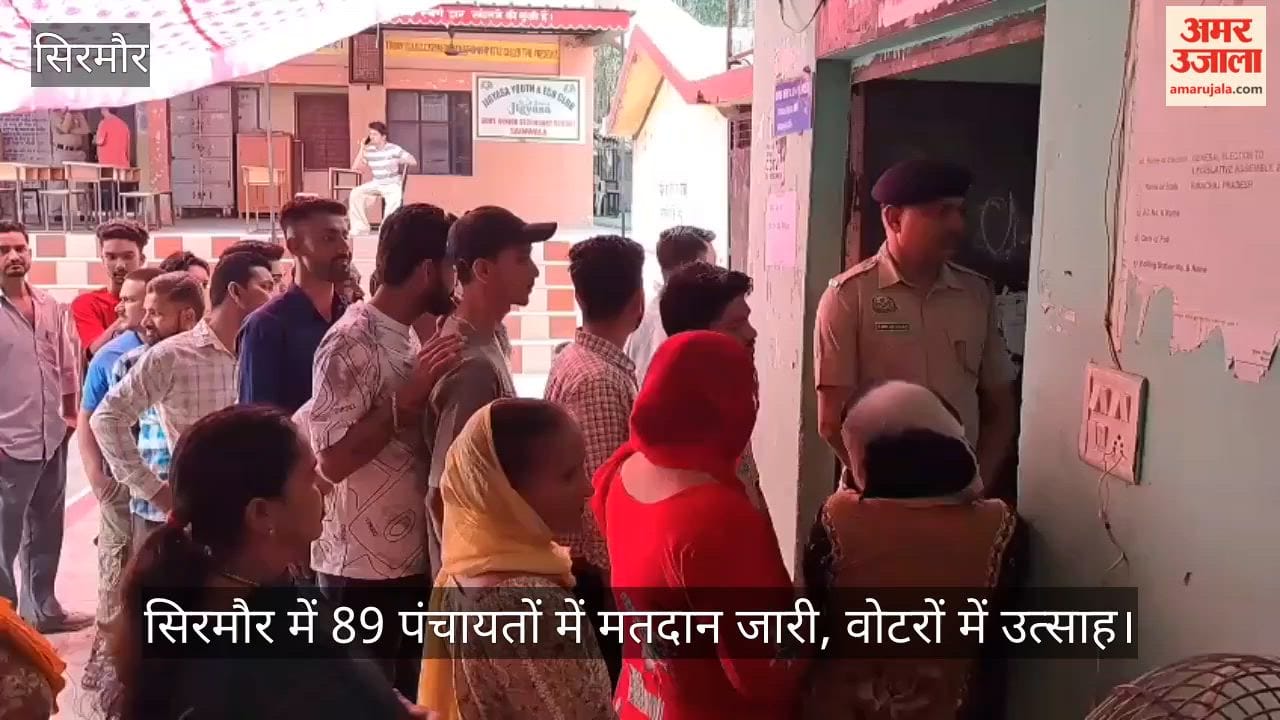 Voting Underway in 89 Panchayats in Sirmaur; Enthusiasm Among Voters