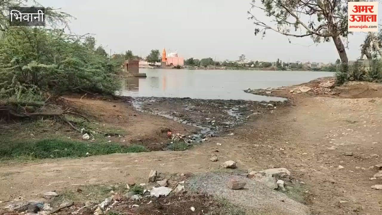 My Village, My Pride: Sanitation System in Village Mundhal Falls into Disarray; Piles of Garbage Accumulate on Main Roads.