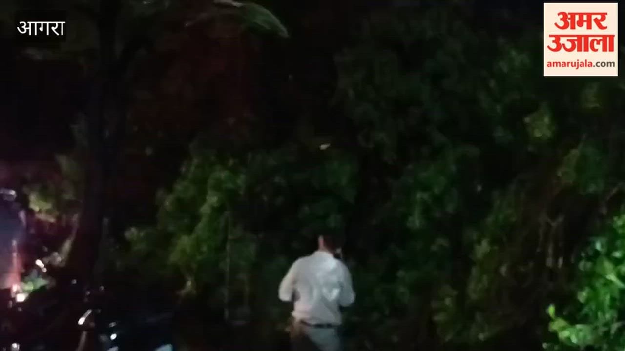 Tree Falls Near Tarun Singhal Nursing Home in Kamla Nagar