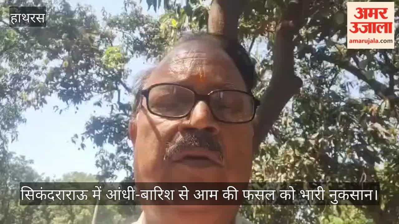 सिकंदराराऊ में आंधी-बारिश से आम की फसल को भारी नुकसान