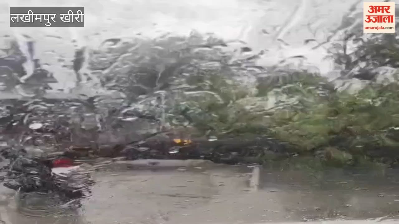 Strong Storm Sweeps Through Lakhimpur Kheri Trees Fall on Roads