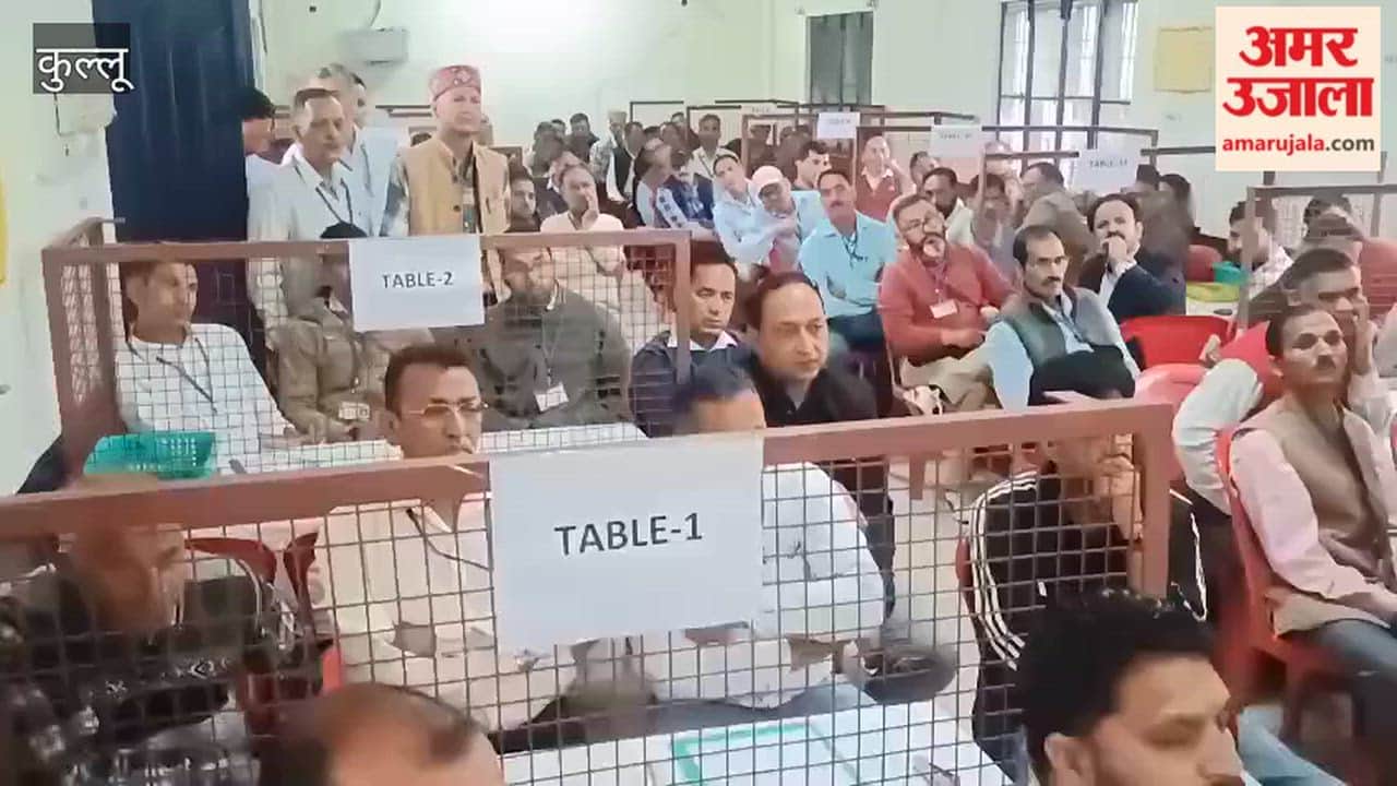 Video: Counting of votes for District Council and BDC begins in Kullu district