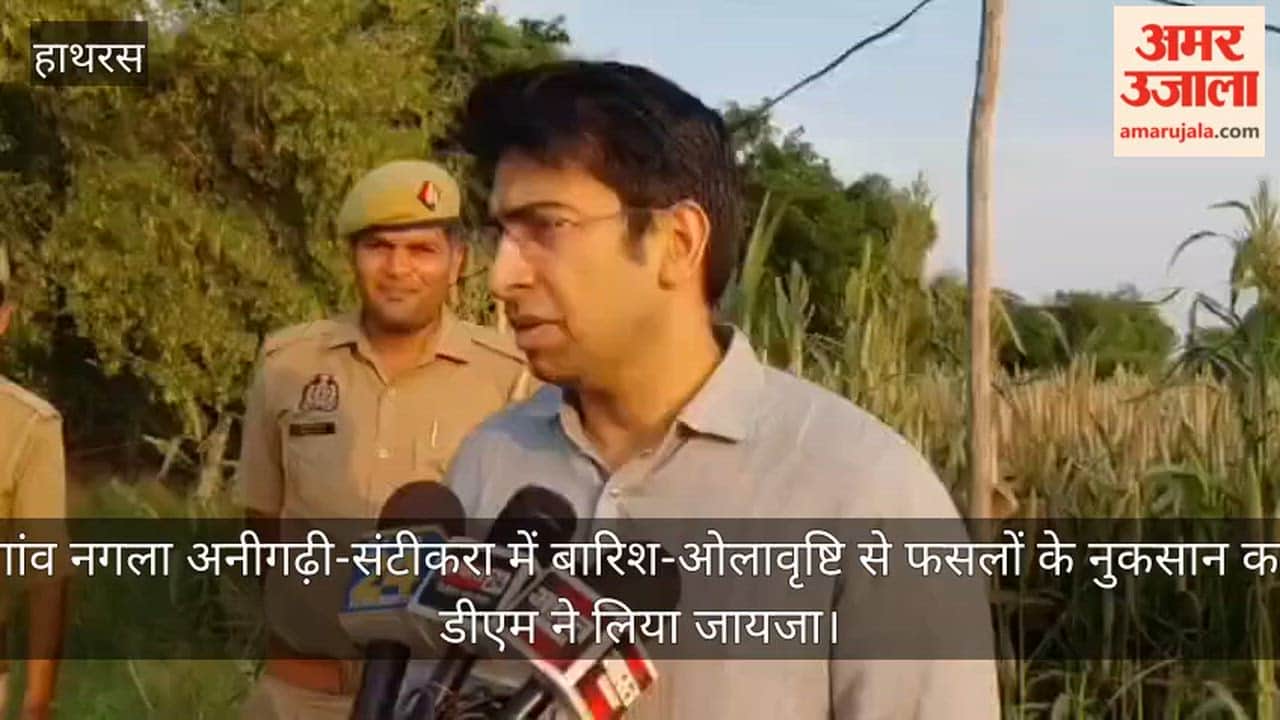 गांव नगला अनीगढ़ी-संटीकरा में बारिश-ओलावृष्टि से फसलों के नुकसान का डीएम ने लिया जायजा
