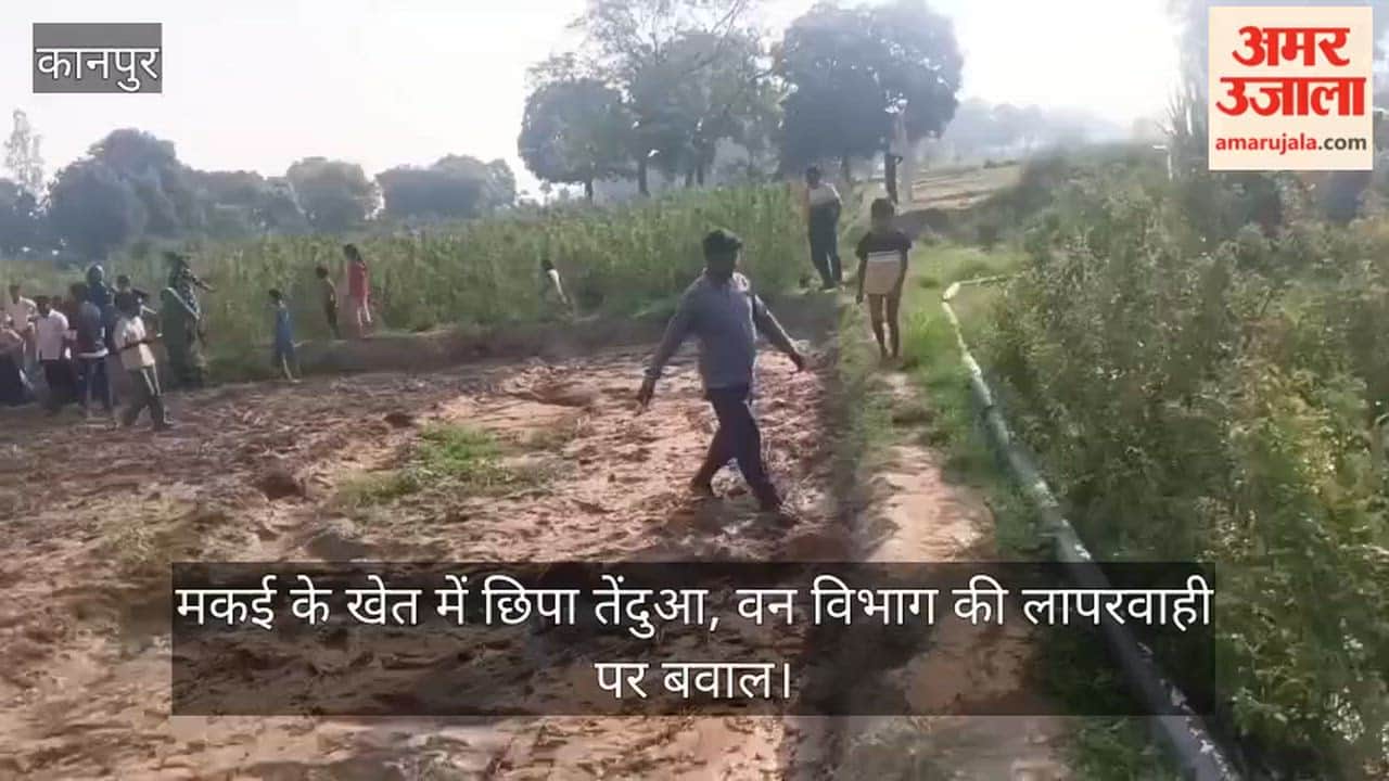 Leopard Launches Deadly Attack on Farmer While He Was Picking Flowers in Kanpur