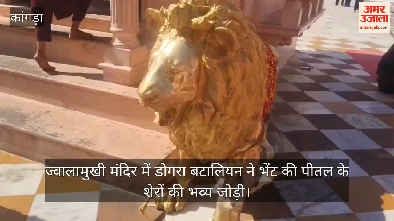 The Dogra Battalion presented a magnificent pair of brass lions at the Jwalamukhi Temple.