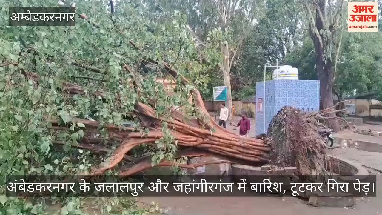 Video: अंबेडकरनगर के जलालपुर और जहांगीरगंज में बारिश, टूटकर गिरा पेड़