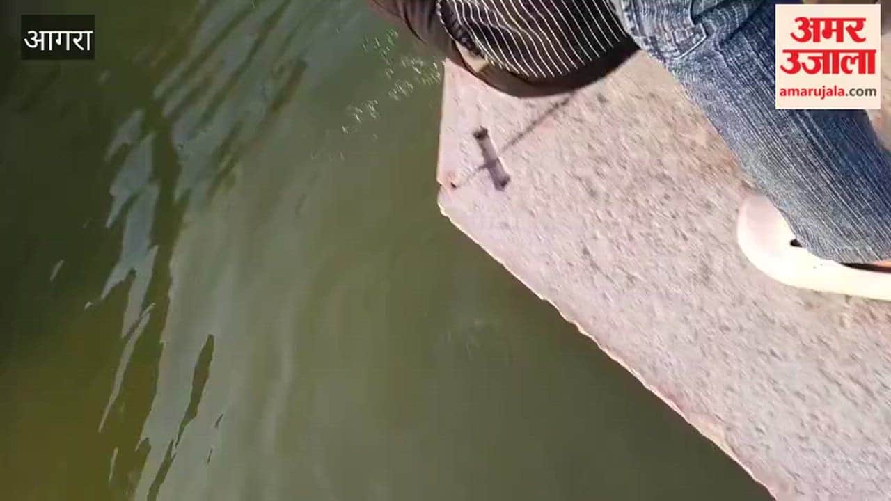 Cops Jump Into Historic Pond
