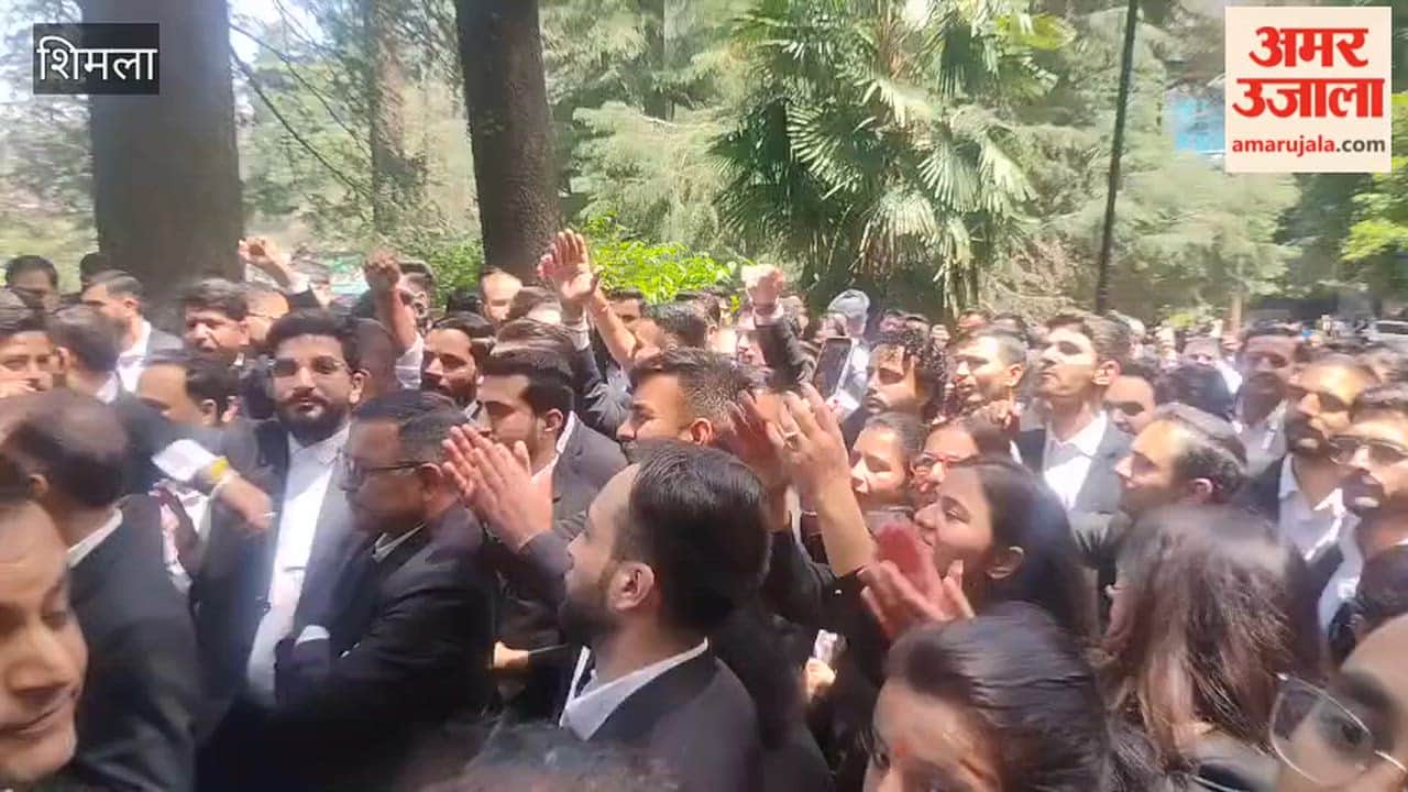 Shimla: Lawyers Outraged Over Restrictions on Prohibited Roads; Hold Protest Rally from Oak Over to the Secretariat