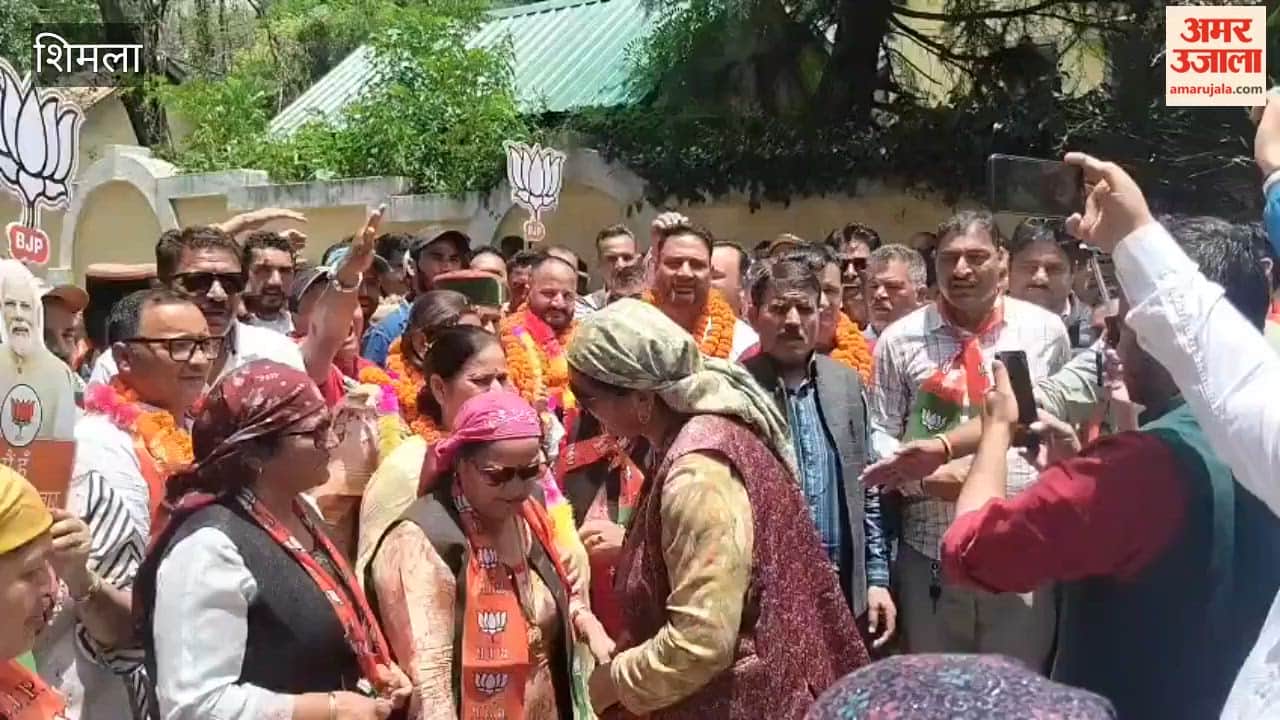 Shimla: BJP Wins Three Out of Five District Council Wards in Rohru Subdivision; Victory Procession Held