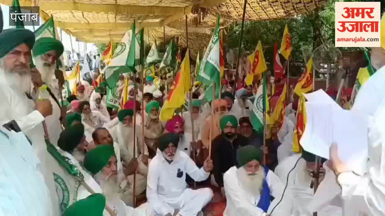 Farmers stage sit-in outside DC office in Moga, demanding MSP guarantee law and loan waiver.