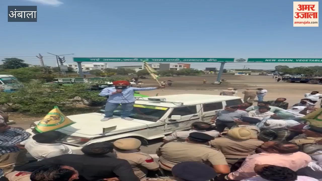 Farmers Outraged Over Lack of Organized Sunflower Procurement in Ambala; Block GT Road