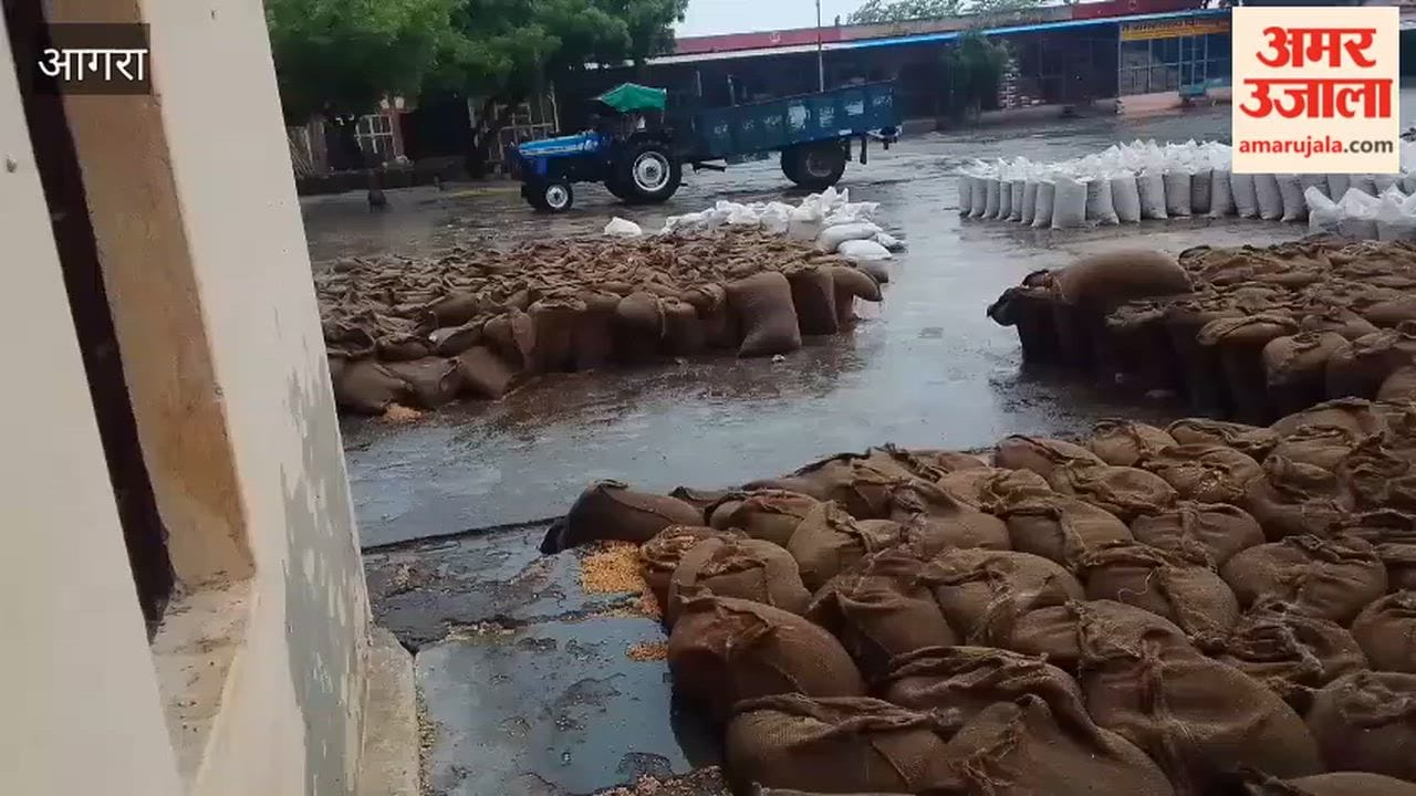 Wheat Left to Rot in Rain! Hundreds of Quintals Exposed in Achhnera Grain Market Sparks Negligence Row