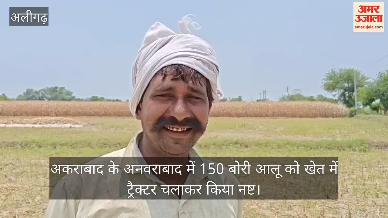 अकराबाद के अनवराबाद में 150 बोरी आलू को खेत में ट्रैक्टर चलाकर किया नष्ट