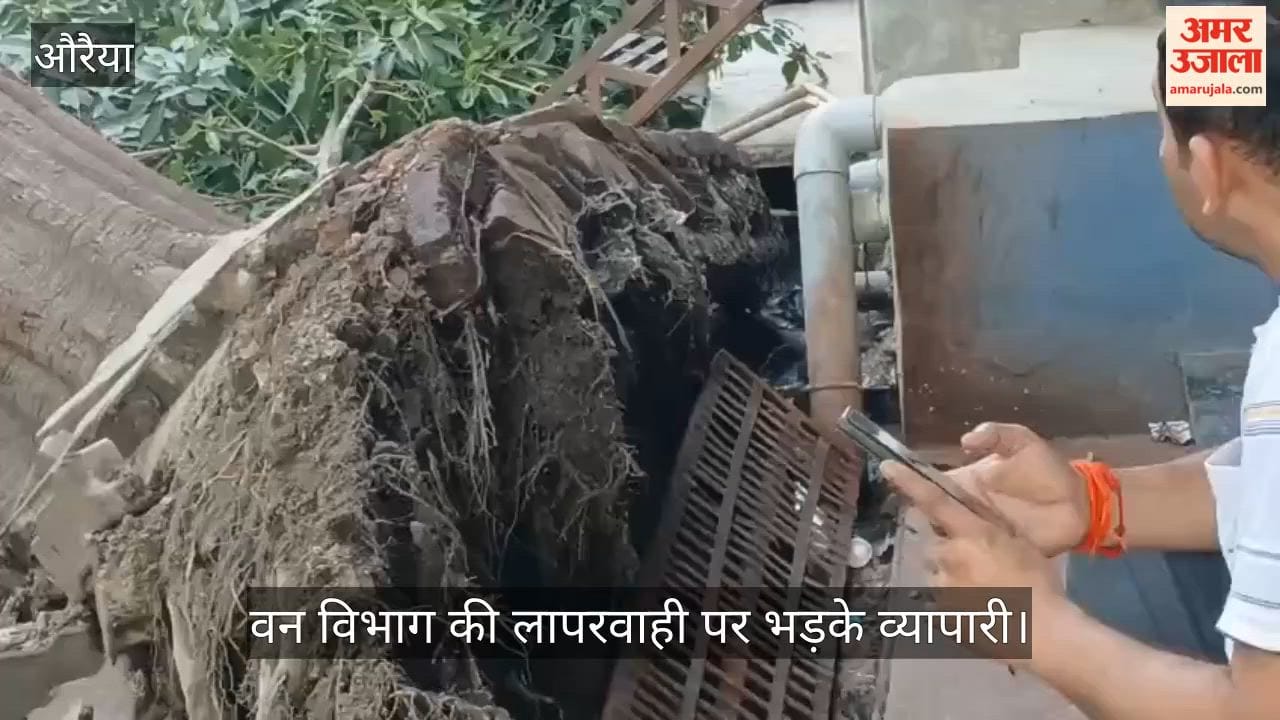Auraiya Massive Tree Falls in Sadar Bazar Power Lines Damaged Road Blocked