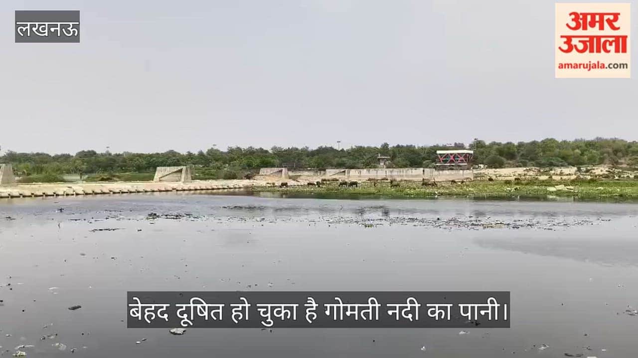 VIDEO: बेहद दूषित हो चुका है गोमती नदी का पानी