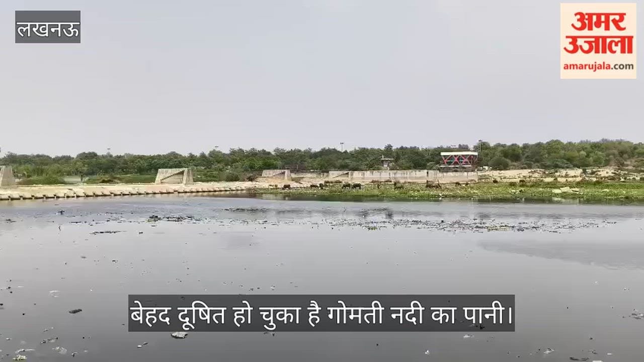 VIDEO: बेहद दूषित हो चुका है गोमती नदी का पानी