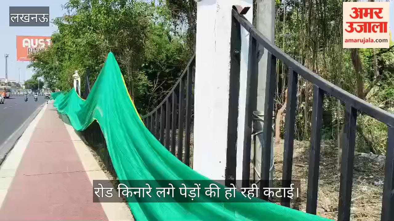 VIDEO: रोड किनारे लगे पेड़ों की हो रही कटाई