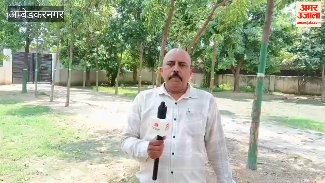अंबेडकरनगर में हर खाली जमीन को हरियाली में बदलने का जुनून, 10 साल में 50 हजार पौधे लगा चुके आलोक