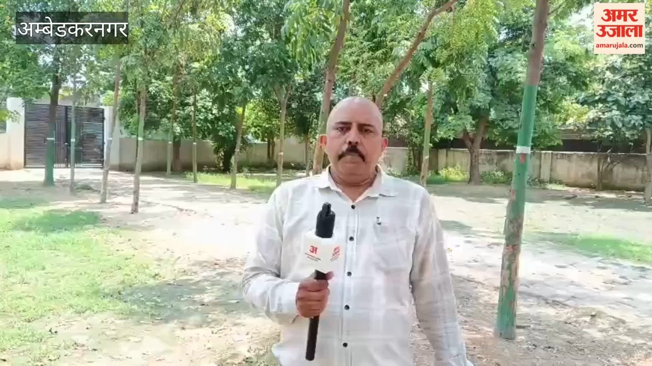 अंबेडकरनगर में हर खाली जमीन को हरियाली में बदलने का जुनून, 10 साल में 50 हजार पौधे लगा चुके आलोक