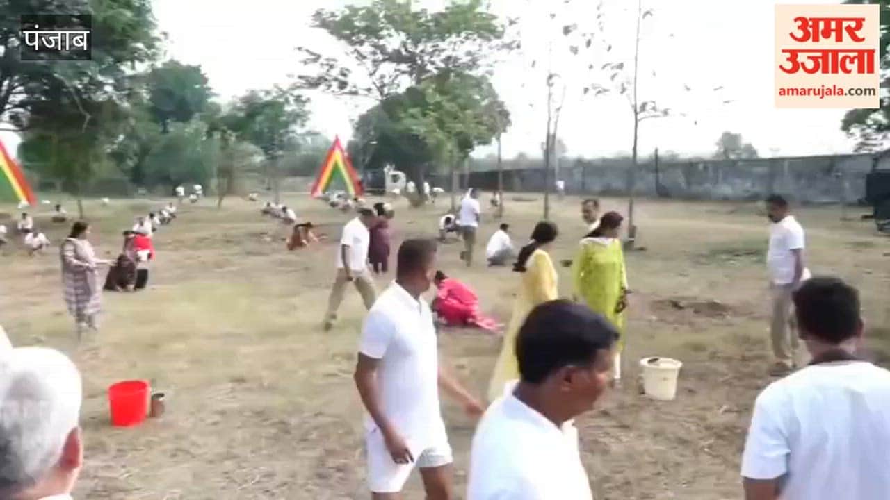 Tree plantation drive launched with BSF's 135th Battalion on Environment Day.