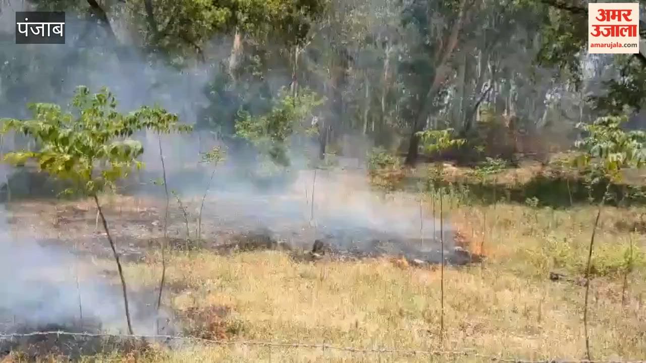 Fire breaks out in fields near the SSP office in Pathankot; panic ensues.