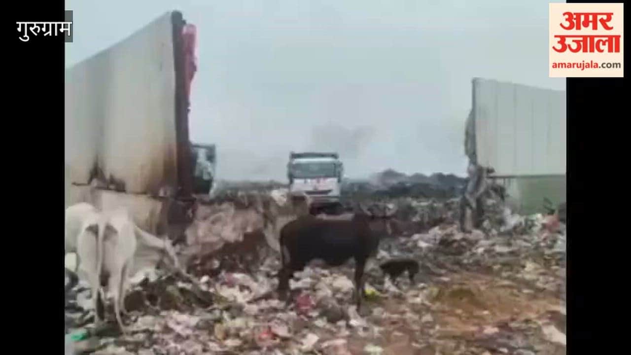 fire continues to blaze for third consecutive day at garbage mountain in Gurugram Khandsa