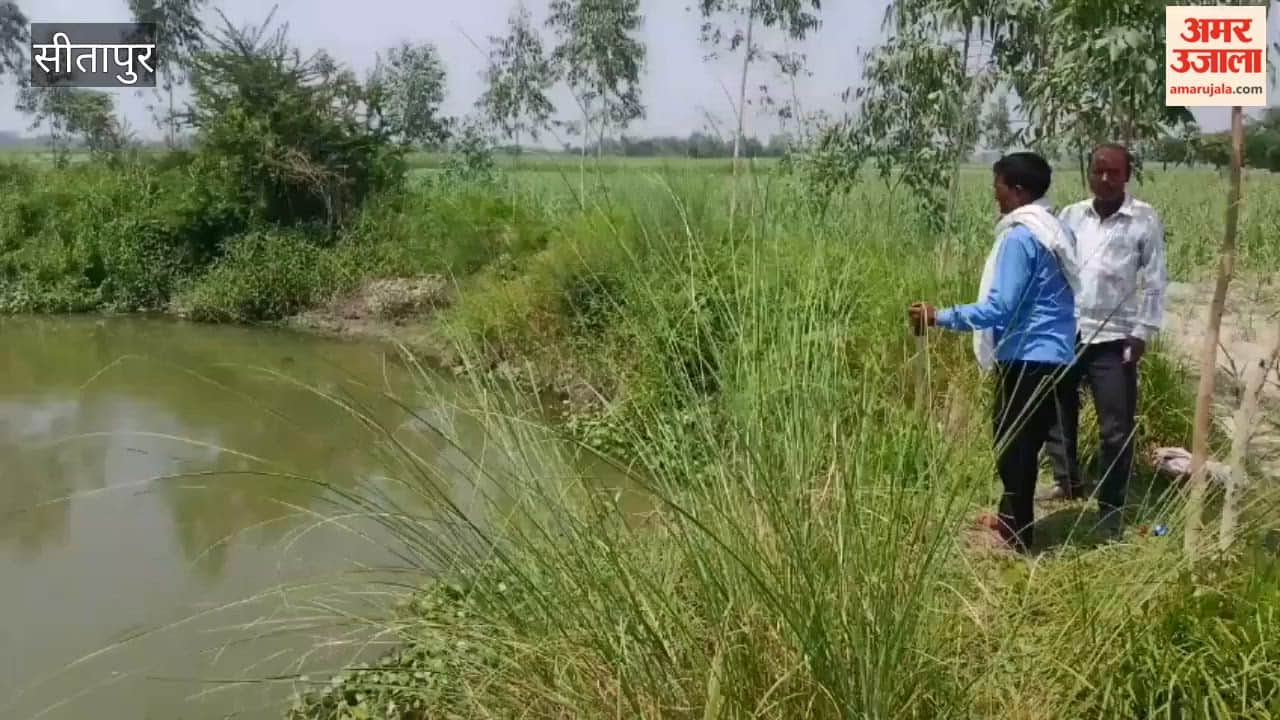 सीतापुर में घघरिया नदी में मौजूद हैं डॉल्फिन, अधिकारियों की अनुमति के बाद होगा रेस्क्यू