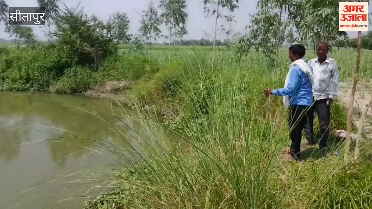 सीतापुर में घघरिया नदी में मौजूद हैं डॉल्फिन, अधिकारियों की अनुमति के बाद होगा रेस्क्यू