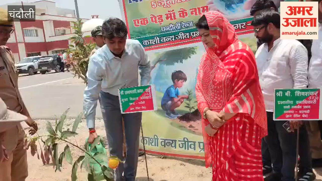 World Environment Day 6 lakh saplings planted on first day in Chandauli