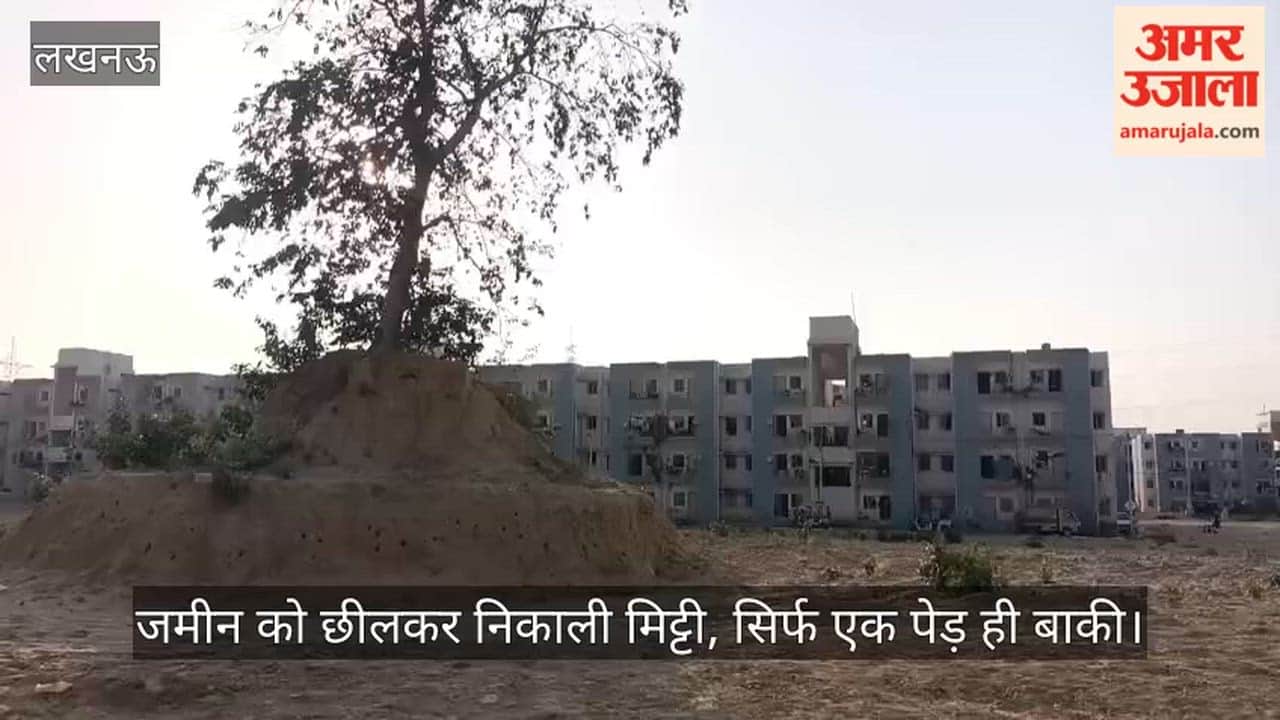 VIDEO: खिसकती जमीन पर बुलंद हरियाली... जमीन को छीलकर निकाली मिट्टी, सिर्फ एक पेड़ ही बाकी