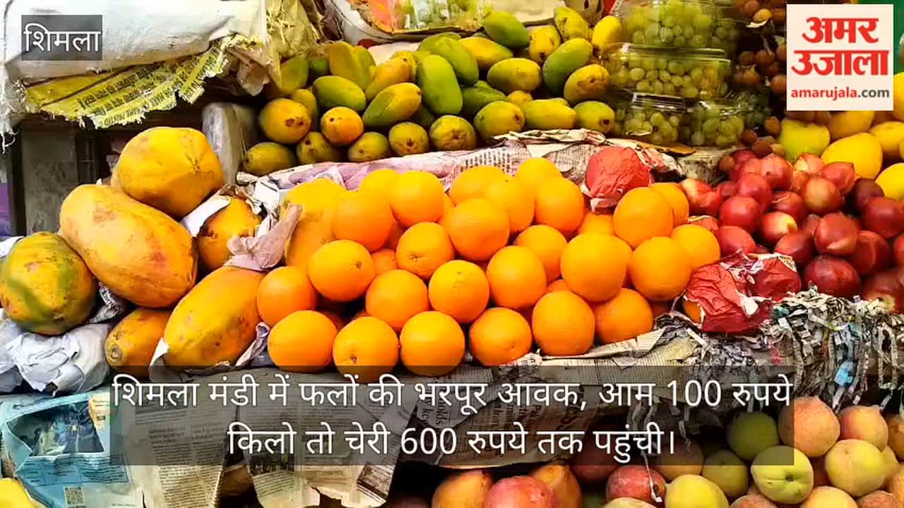Video: Fruit arrivals increase at Shimla vegetable market; cherry prices reach up to ₹600 per kg