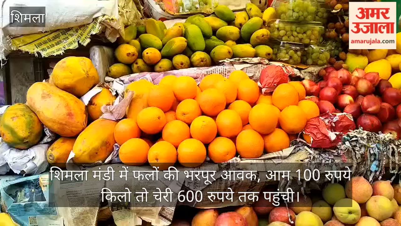 Video: Fruit arrivals increase at Shimla vegetable market; cherry prices reach up to ₹600 per kg