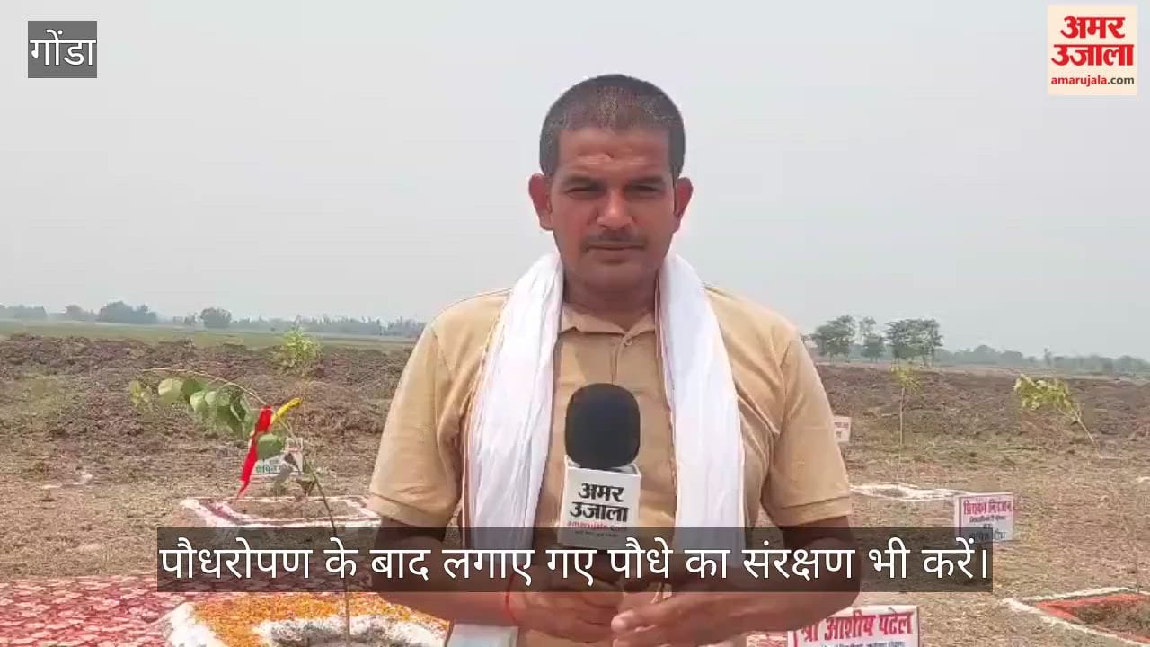 VIDEO: प्रभारी मंत्री आशीष पटेल ने लगाया 'एक पेड़ मां के नाम', बोले- जलवायु परिवर्तन रोकने के लिए पौधरोपण जरूरी