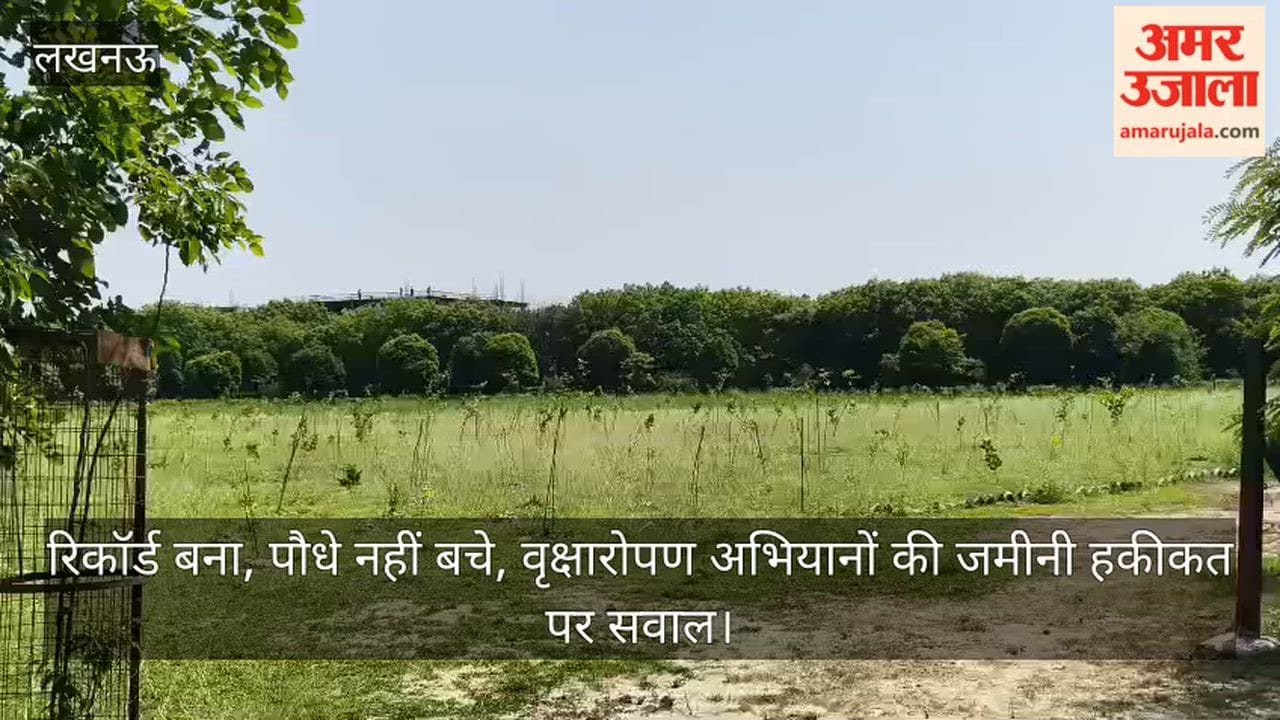 Video: रिकॉर्ड बना, पौधे नहीं बचे, वृक्षारोपण अभियानों की जमीनी हकीकत पर सवाल