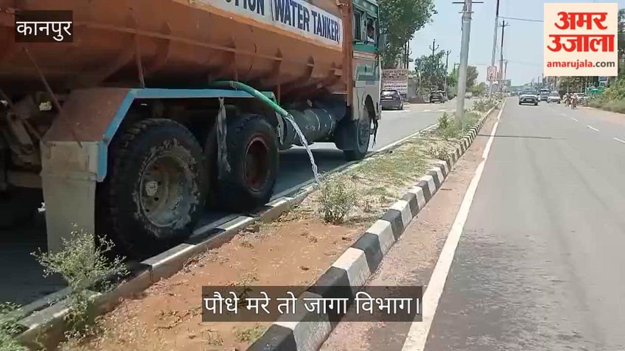 Kanpur Bizarre scene on Mandhana Ganga Barrage State Highway saplings have died yet dry grass is being watered
