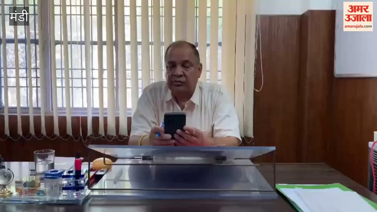 Mandi: लडभड़ोल में विकास कार्यों को मिलेगी रफ्तार, नवनियुक्त सहायक अभियंता विजय गुलेरिया ने संभाला पदभार