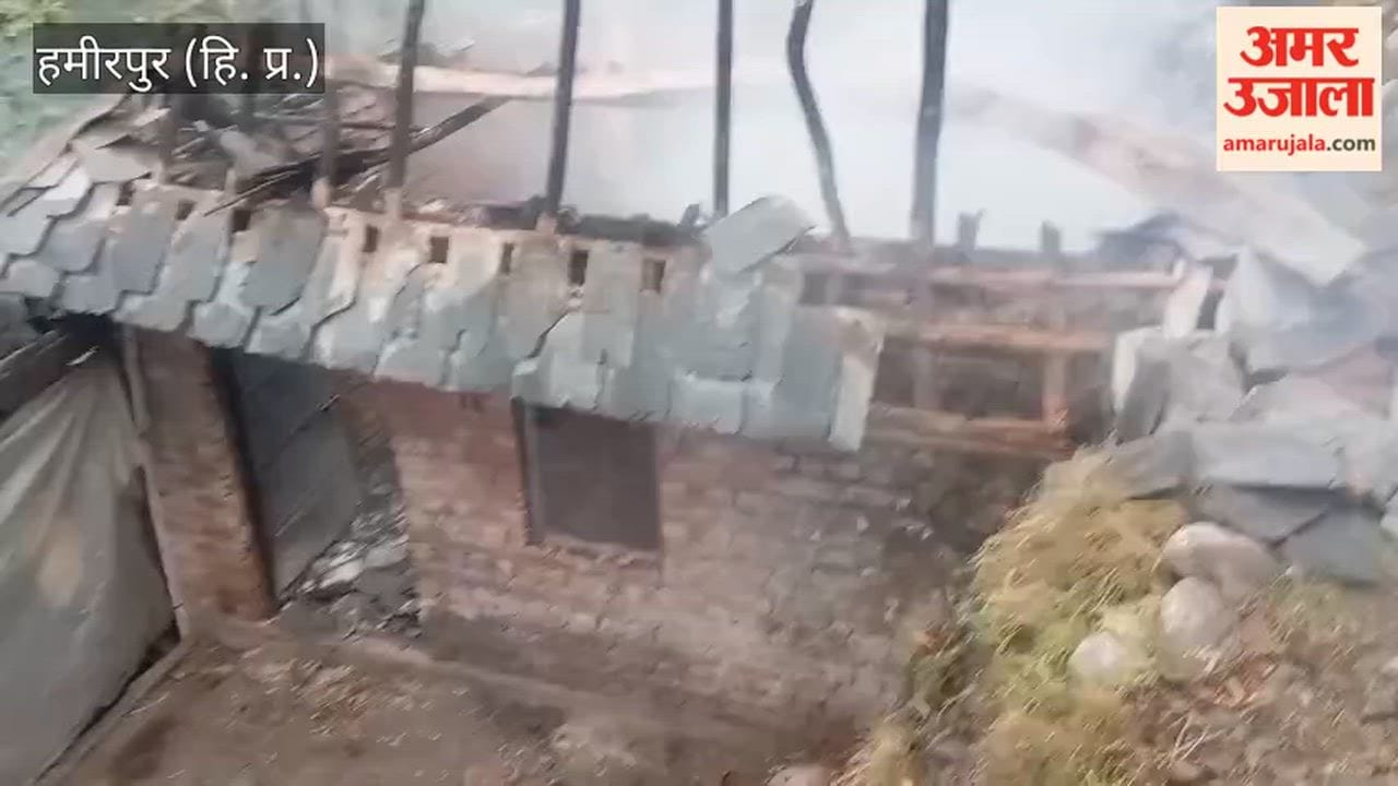 Hamirpur: Cattle shed reduced to ashes by fire; buffalo suffers burns