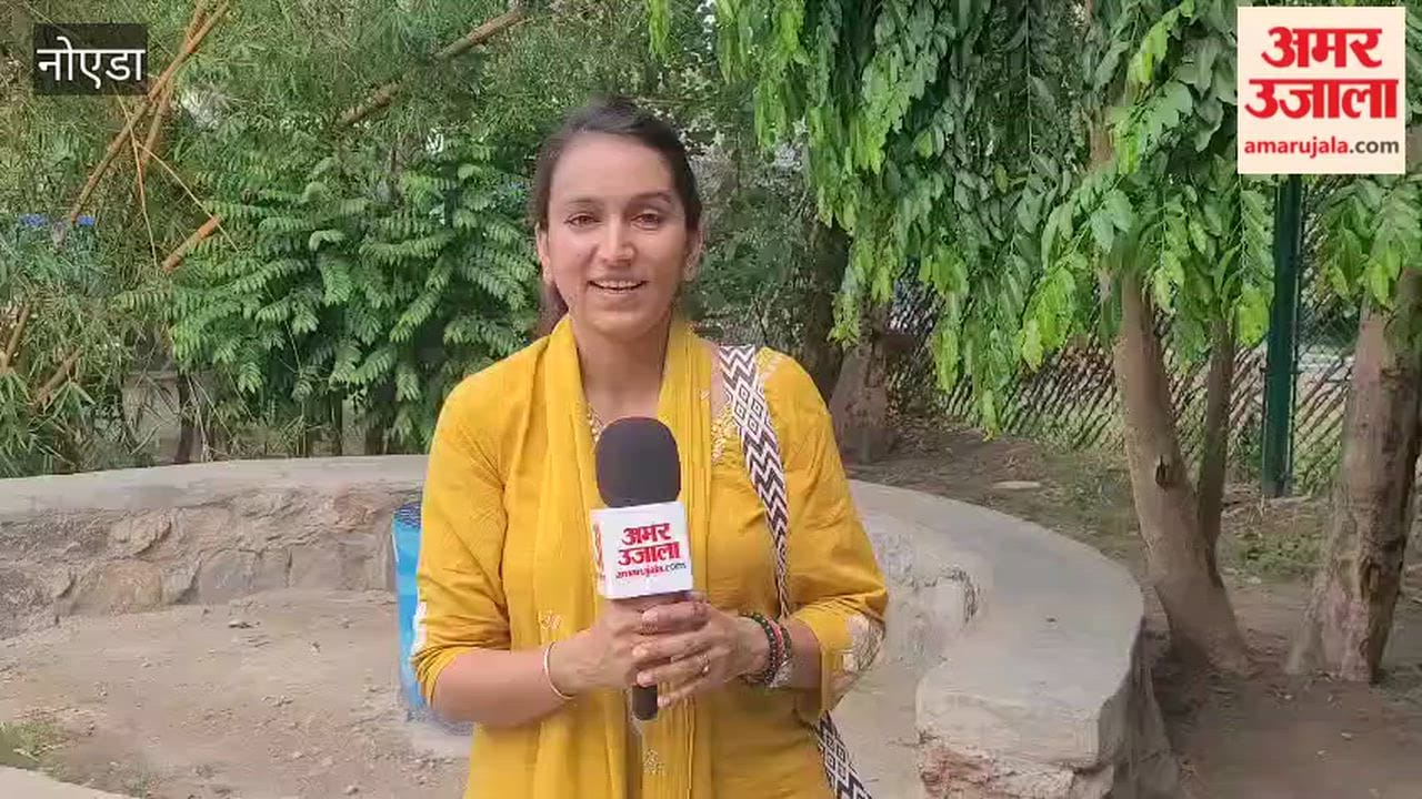 Noida Authority Jungle Trail becomes a special attraction for children