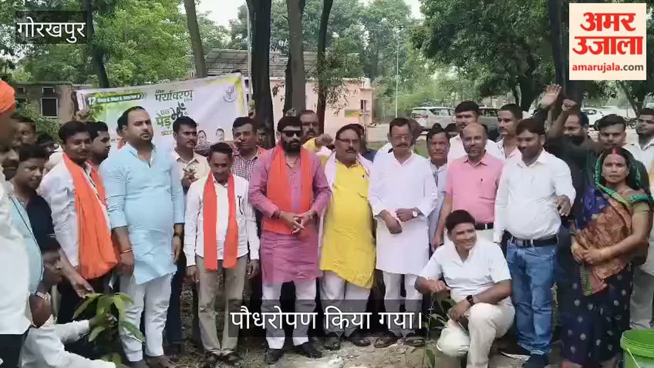 BJP officials planted trees in Ramnagar development block on the occasion of CM's birthday.