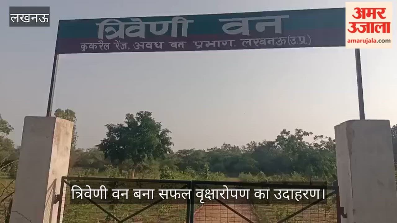 Video: त्रिवेणी वन बना सफल वृक्षारोपण का उदाहरण, मुख्यमंत्री ने महर्षि चरक औषधि वन में किया पौधारोपण