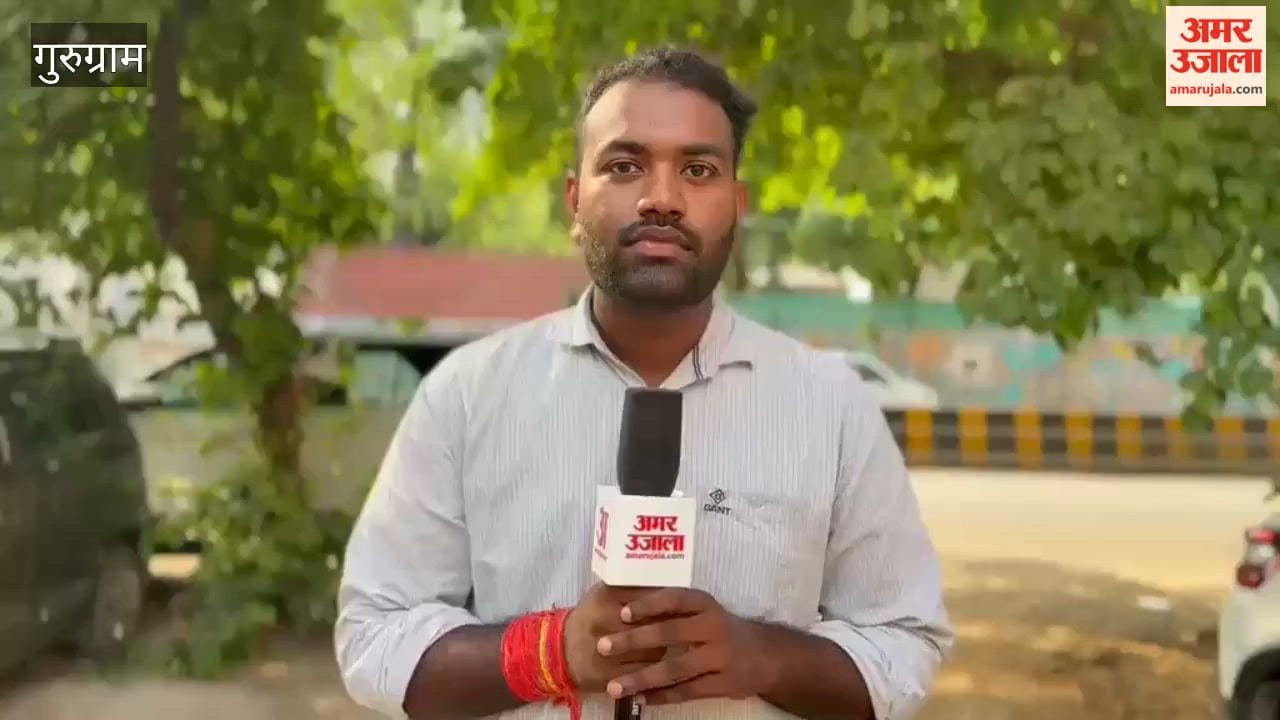 People troubled by monkeys in Siddharth NCR Forest of Gurugram