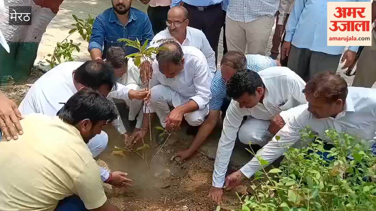 Meerut: Minister of State Dinesh Khatik planted fruitful and shady plants