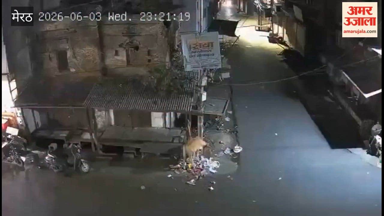 Meerut: Scooty rider hit by car and blown away, watch video