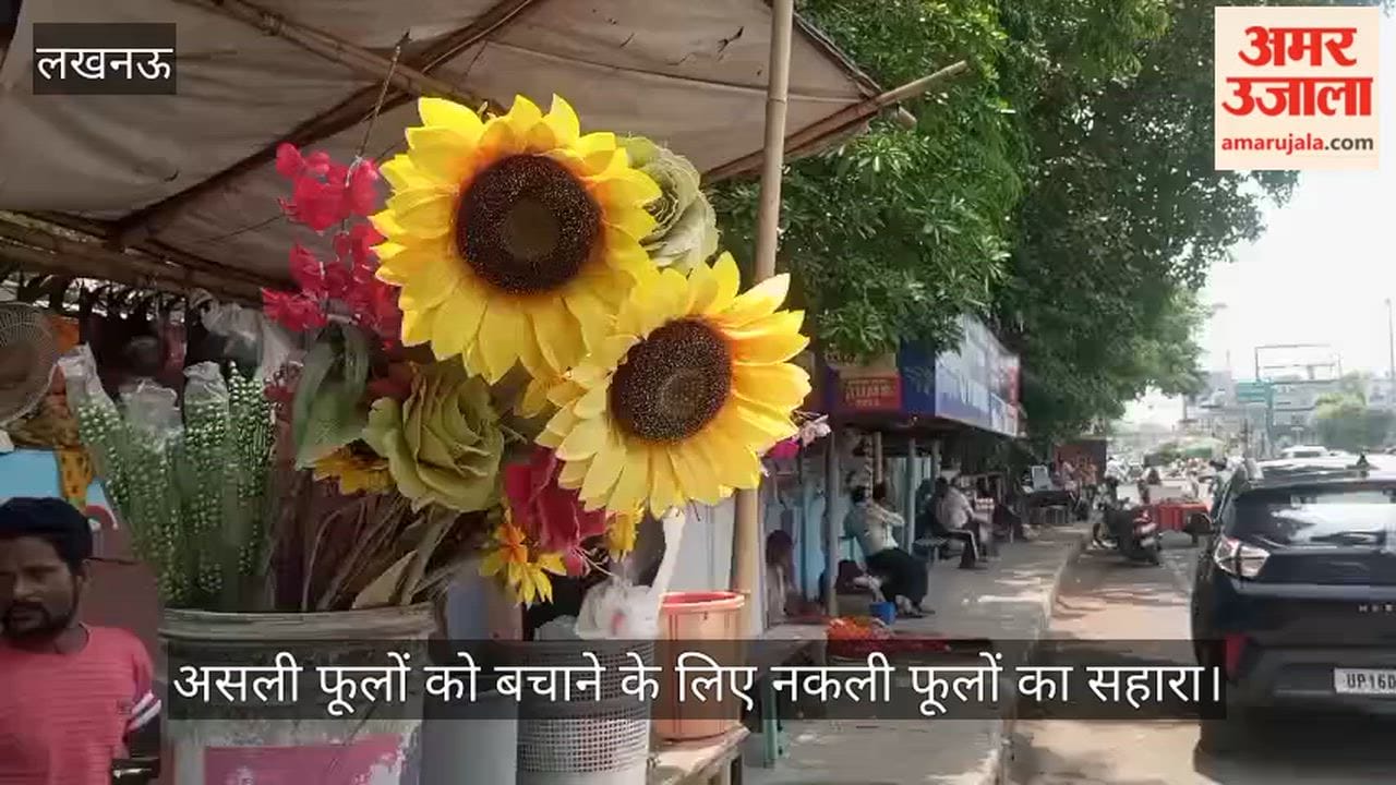 VIDEO: गर्मी का असर: लखनऊ में असली फूलों को बचाने के लिए नकली फूलों का सहारा