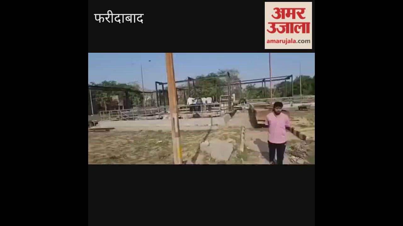 Video Two youths fell into a tank in Faridabad both died