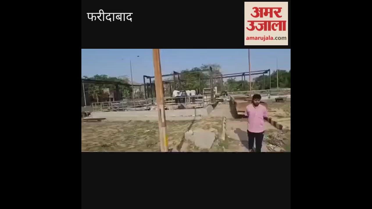 Video Two youths fell into a tank in Faridabad both died