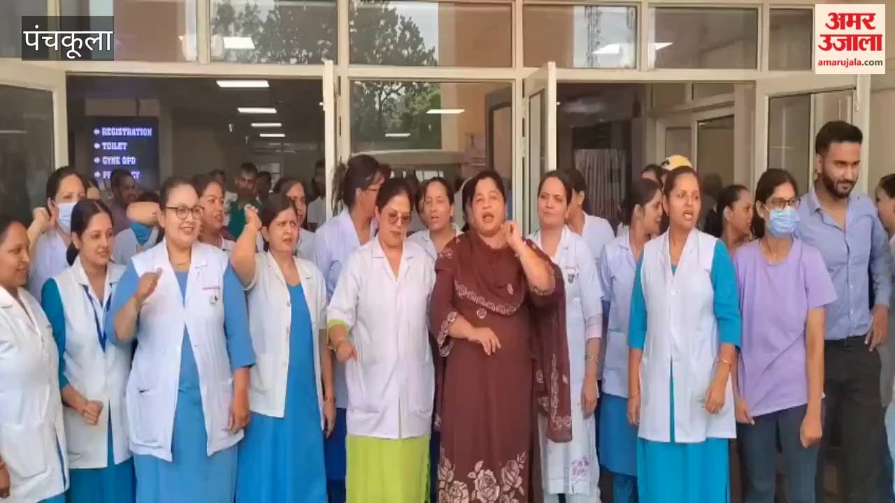 Nursing staff raised slogans in Panchkula.