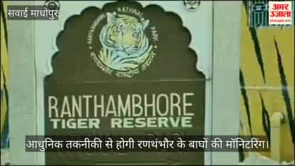 Sawai Madhopur News: Ranthambore Plans GSM Cameras, Satellite Collars for Real-Time Tiger Monitoring