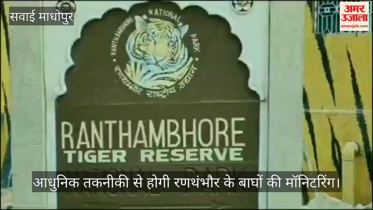 Sawai Madhopur News: Ranthambore Plans GSM Cameras, Satellite Collars for Real-Time Tiger Monitoring